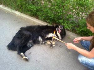 Прикачена снимка