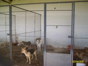 Прикачена снимка