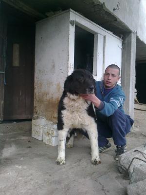 Прикачена снимка