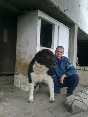 Прикачена снимка