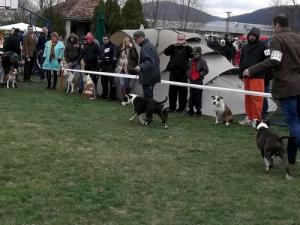 Прикачена снимка