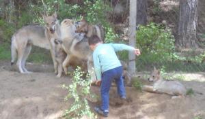 Прикачена снимка
