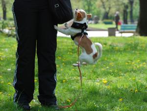 Прикачена снимка