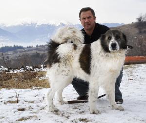 Прикачена снимка