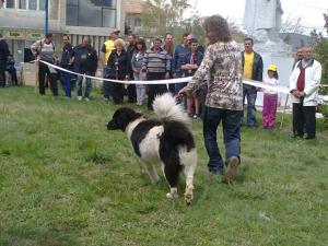Прикачена снимка