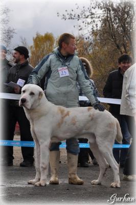 Прикачена снимка