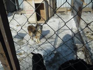 Прикачена снимка