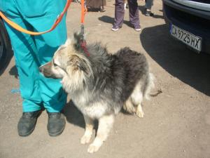 Прикачена снимка