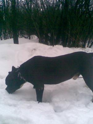 Прикачена снимка