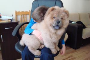 Прикачена снимка