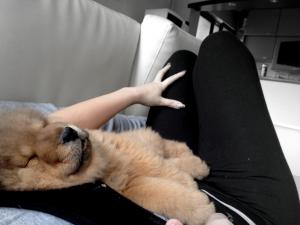 Прикачена снимка