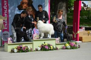 Прикачена снимка