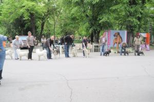 Прикачена снимка