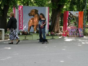 Прикачена снимка