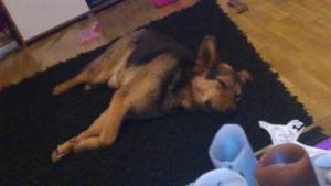 Прикачена снимка