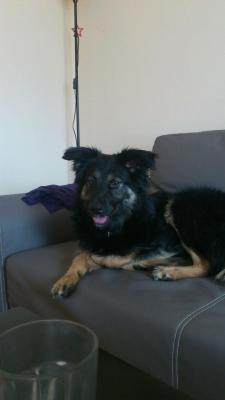 Прикачена снимка