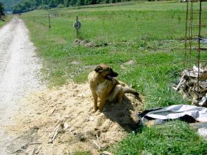 Прикачена снимка