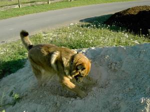 Прикачена снимка