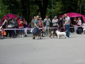 Прикачена снимка