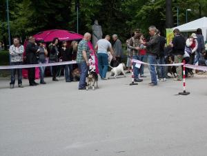 Прикачена снимка