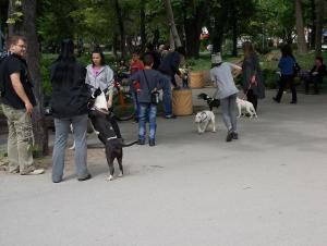 Прикачена снимка