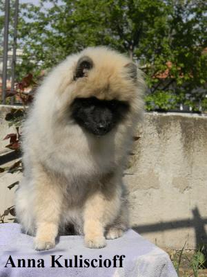 Прикачена снимка