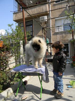 Прикачена снимка