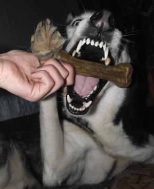 Прикачена снимка