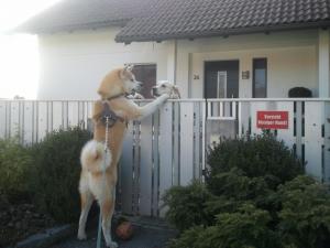 Прикачена снимка