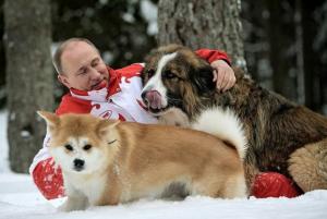 Прикачена снимка