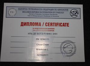 Прикачена снимка