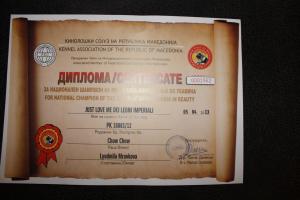 Прикачена снимка