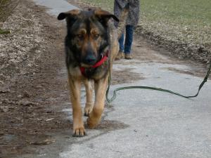 Прикачена снимка