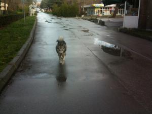 Прикачена снимка