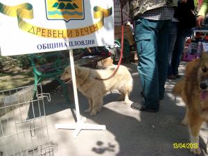 Прикачена снимка
