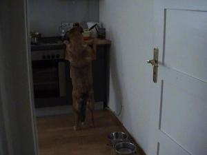 Прикачена снимка