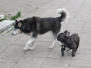 Прикачена снимка