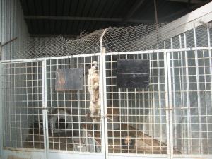 Прикачена снимка