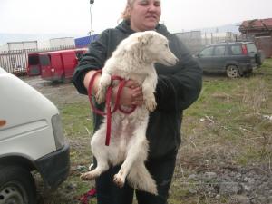 Прикачена снимка