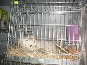 Прикачена снимка