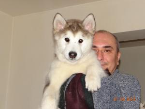 Прикачена снимка