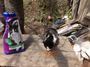 Прикачена снимка