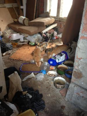 Прикачена снимка