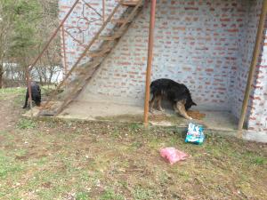 Прикачена снимка