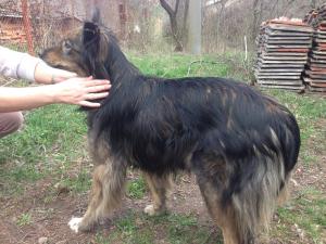 Прикачена снимка