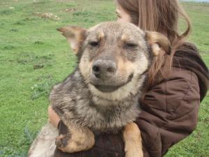 Прикачена снимка