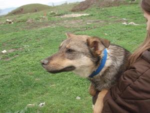 Прикачена снимка