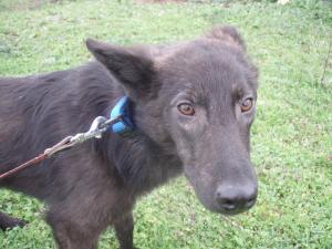 Прикачена снимка