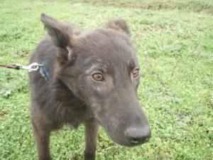 Прикачена снимка