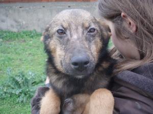 Прикачена снимка